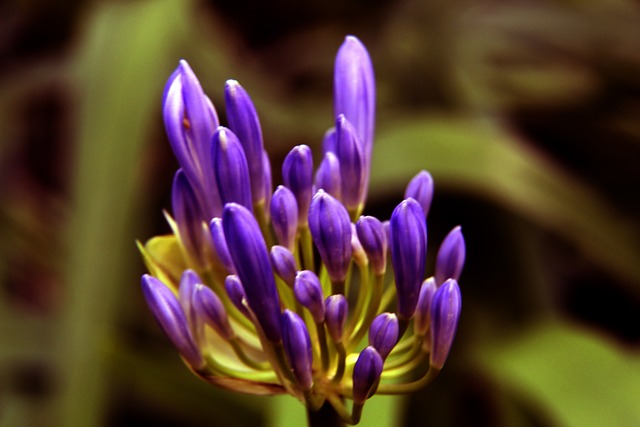 想要更上一 想要更上一