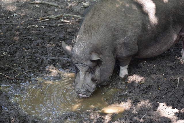 “以科学为途径,构建世界模型” 墨西哥科学院院长在人大发表主题演讲.
